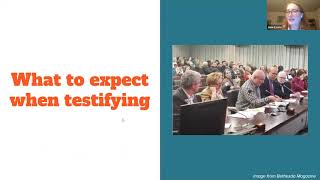 Thrive 2050 Testimony Writing Workshop