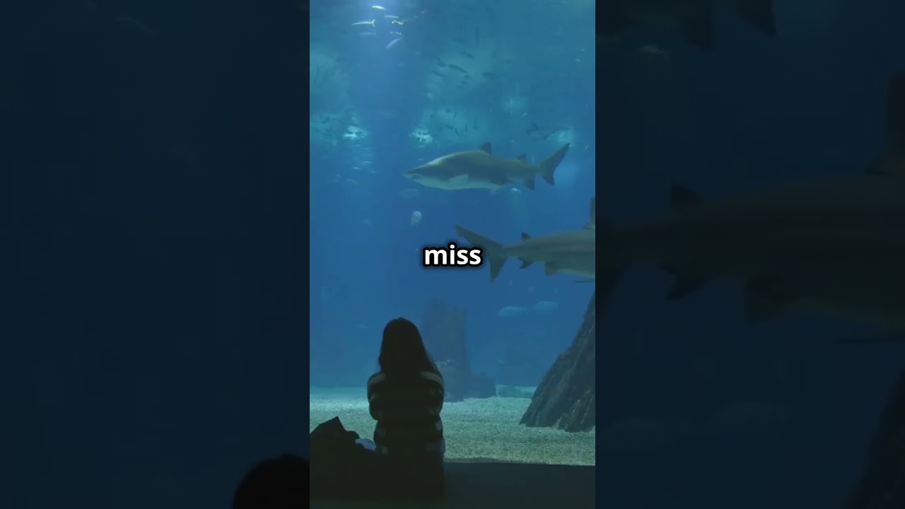 Plan the Perfect Dubai Itinerary in 60 Seconds! 🌟✈️ 