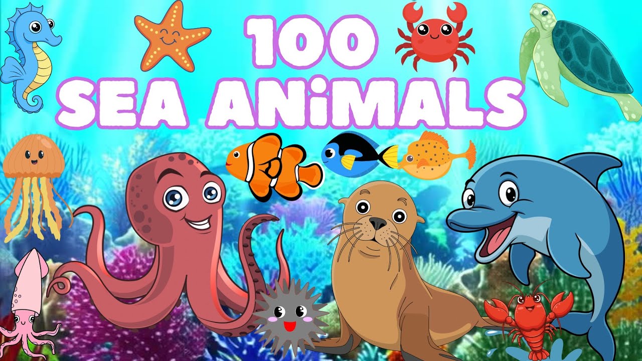 Изучаем 100 названий морских животных и фактов о них для детей | Видео «Животные океана»