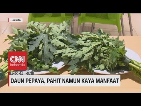 Video: Adas - Khasiat Bermanfaat, Penggunaan Buah Dan Daun