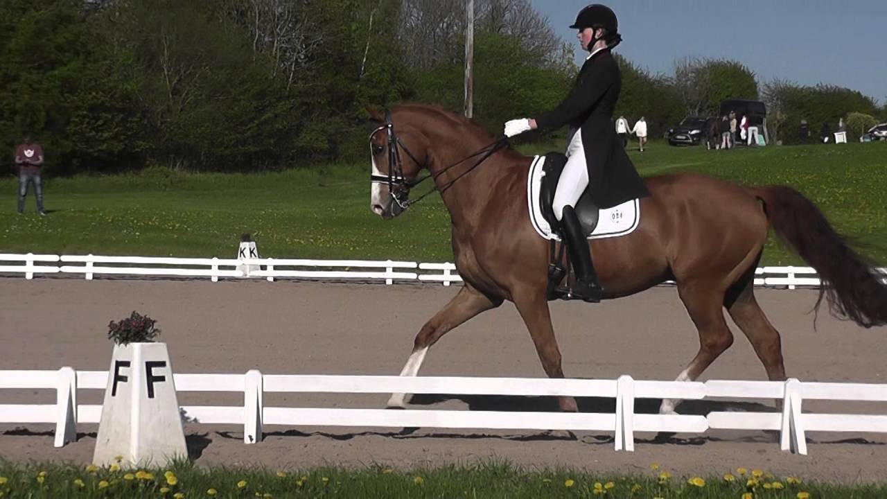 Ibanos MA1 til 65.14%