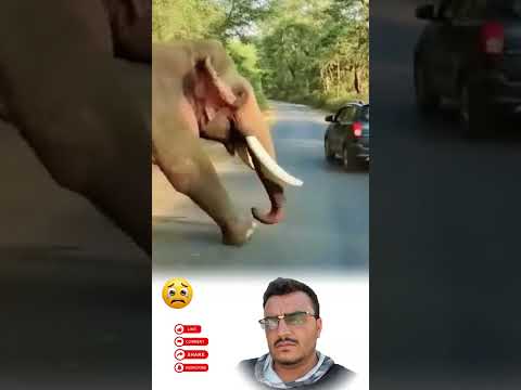 ق ل ل ن ي ص يب ن آ إ ل ا م ا ك ت ب ٱلل ه ل ن ا ه و م و ل ى ن ا 