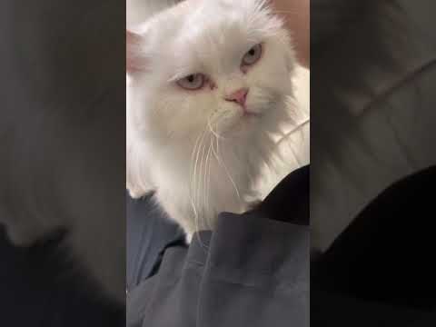 영상썸네일