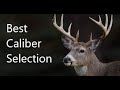 Which Caliber Is Best For Hunting Season