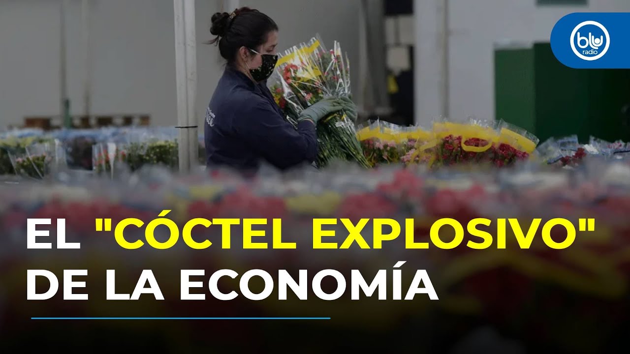 Asocolflores advierte riesgo para 150.000 empleos con incremento del  salario mínimo