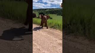 This Was Definitely A Sighting Of The Day