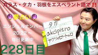 【228日目】　#鳥　■ カラス　■ タカ　■ 羽根・羽毛をエスペラント語で‼️  #語学 #暗記 #カラス　#羽毛  #たか #自己肯定感 #スピリチュアル #エンジェルナンバー #2022