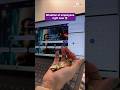 Sab kuch plan kiya tha, except being broke this early #funny #shortvideo #shorts #trending #viral