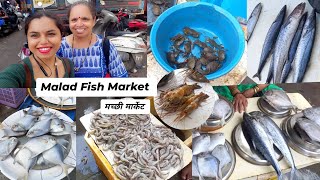 Wholesale Fish Market | मच्छी मार्केट | Malad Fish Market #malad #fishmarket #macchi #fishingvideo 