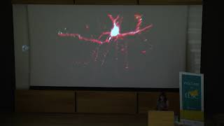 Brainy Days 3 in Jerusalem – Prof. Elly Nedivi