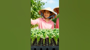 Công nghệ 7 bài 1 Đặc điểm của trồng trọt công nghệ cao