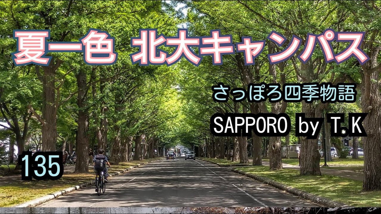 夏一色　北大キャンパス