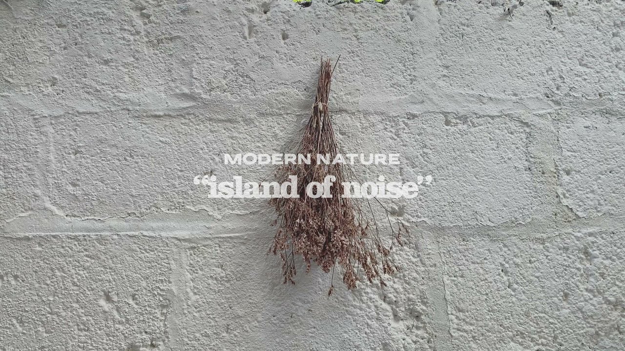 Modern Nature Island of Noise (Trailer) YouTube