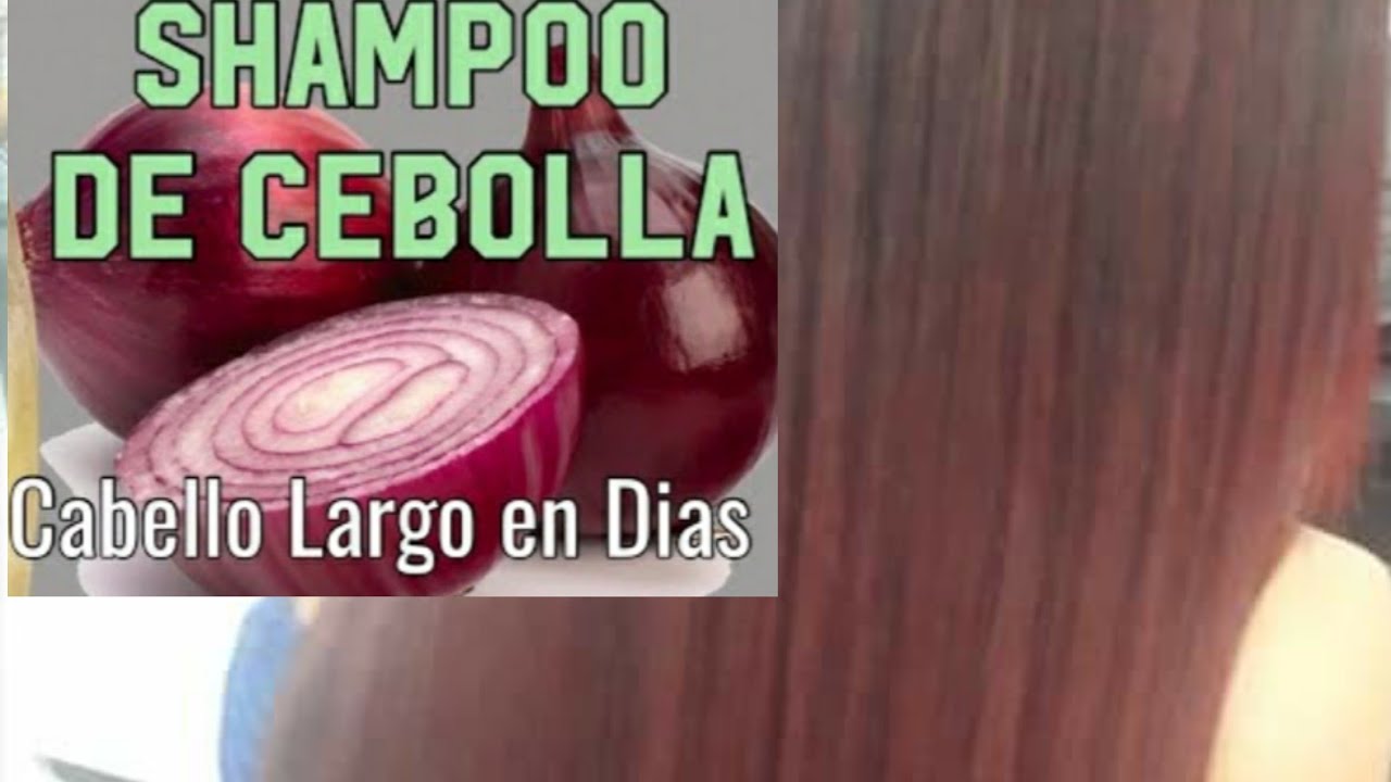 DIY🔸️ Shampoo de cebolla para hacer crecer el cabello YouTube