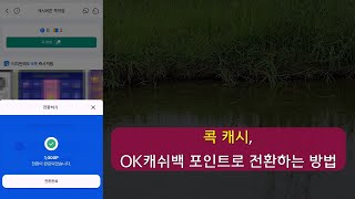 OK캐쉬백 앱에서 캐시버튼 등으로 적립한 콕 캐시, OK캐쉬백 포인트로 전환하는 방법 screenshot 2