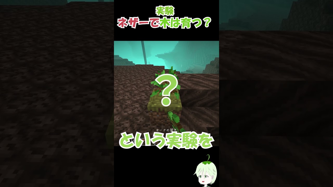 【マイクラ】実験、ネザーでも木は育つ？ #マインクラフト #マイクラ