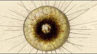 Diaphoretickes | Wikipedia audio article