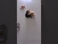 Cute Fight 😂😯☺️😍#shorts #cute #fight