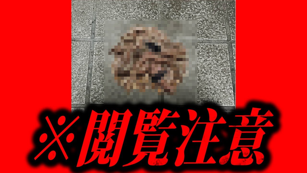 【緊急】学校の玄関にとんでもないものがありました