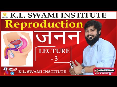 REPRODUCTION LECTURE 03| MALE REPRODUCTIVE SYSTEM | Science By K.L. SWAMI......|