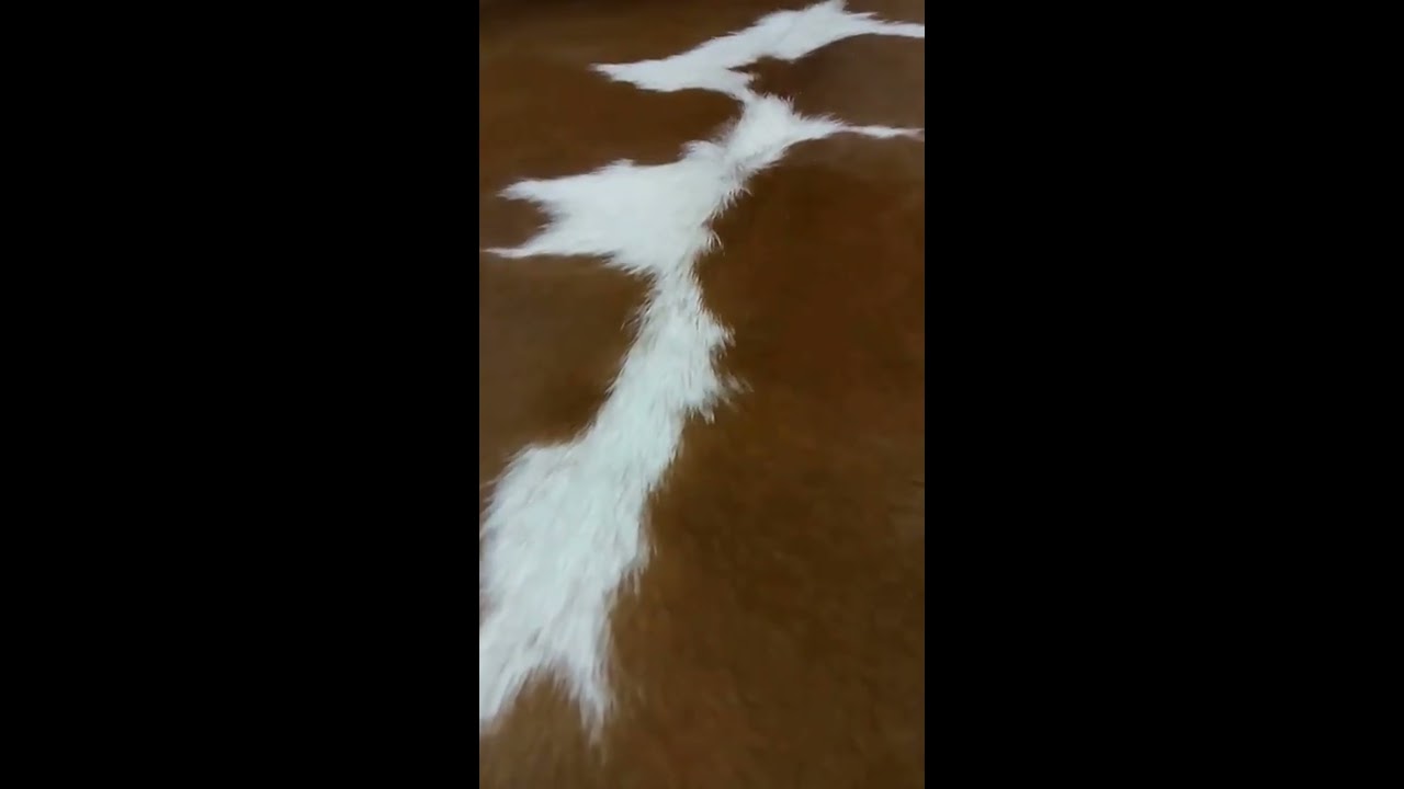 Alfombras piel de vaca baratas