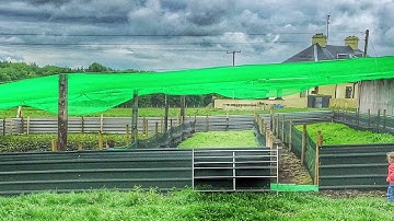 From Scratch to Success: Setting Up a Snail Farm Ready for Business 🐌🏗️🎉