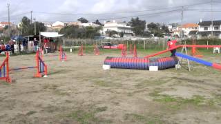 Kissy - 3-4-2012 , Agility Trial at No Stress