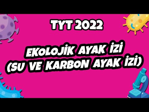 TYT Biyoloji - Ekolojik Ayak İzi (Su Ve Karbon Ayak İzi) | TYT Biyoloji 2022 #hedefekoş