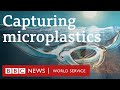 Manta rays inspire a new device to filter microplastics - BBC World Service