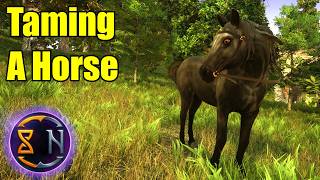 Taming A Mount And Starting Resource Production | Ars Notoria Tutorial