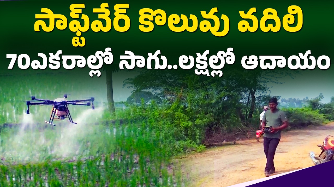 Software Engineer to Smart Farmer! | Collector Appreciates Young Man’s Farming Innovation || Yuva