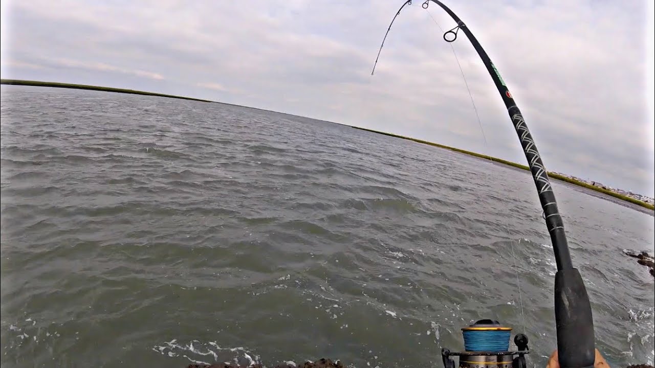 Last Day of the Flounder Season! // NJ Flukin' September 2020 YouTube