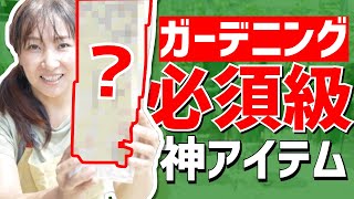 【神アイテム】ガーデニング/育苗/発芽発根の救世主アイテムを紹介いたします！【ロックウールの使い方】