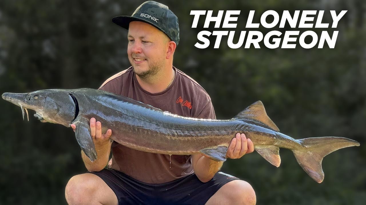 Продолжаем ловлю карпа во Франции! Хаос, громкий смех и улов мечты на озере Биллс-Лейк 3