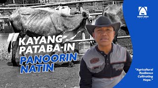 IMPROVING THE CARCASS WEIGHT OF BEEF CATTLE IN THE PHILIPPINES