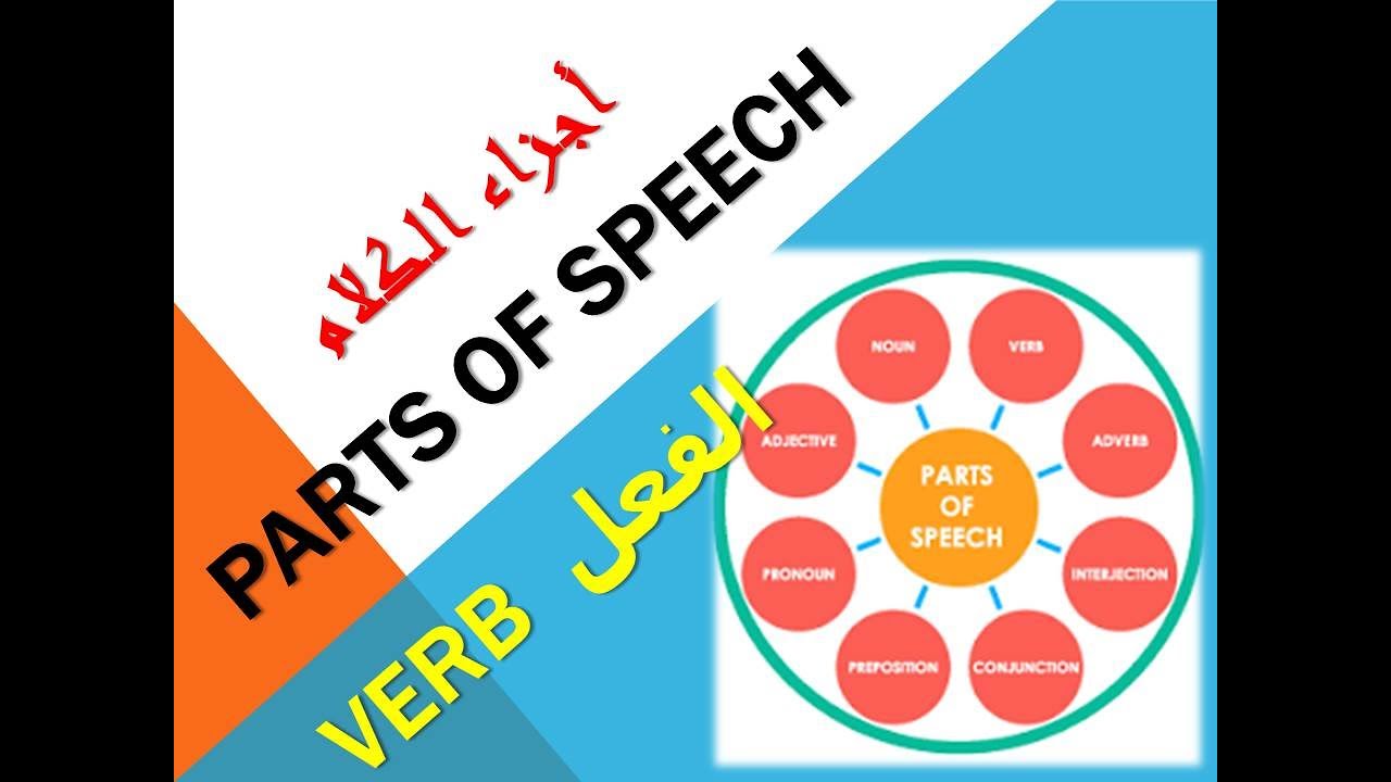 جزء من محاضرات أجزاء الكلام  الفعل (verb)