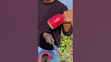 Cảnh Người dân Trung Quốc thu hoạch củ cải đỏ bên trong ruột có 2 màu đỏ trắng