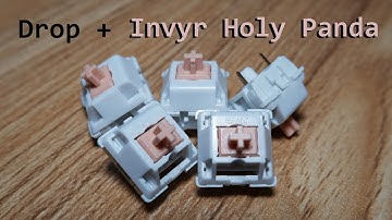 Drop + Invyr Holy Panda review | A Great Switch You Shouldn