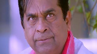 Brahmanandam Super Comedy Scenes | Telugu Comedy Scenes 2024 | Funtastic Comedy