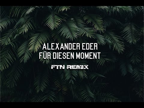 Alexander Eder - Für diesen Moment (FTN - Remix)