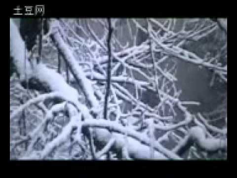最后一次的温柔-粤语版.flv