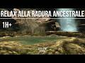 ASMR Skyrim | Radura Ancestrale 🌿 Suoni Mistici della Foresta per Dormire e Rilassarsi