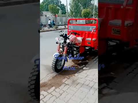 Tariq loader 150cc