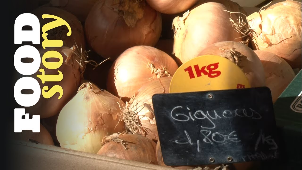 Ail, oignons, échalotes : comment les consommer ?