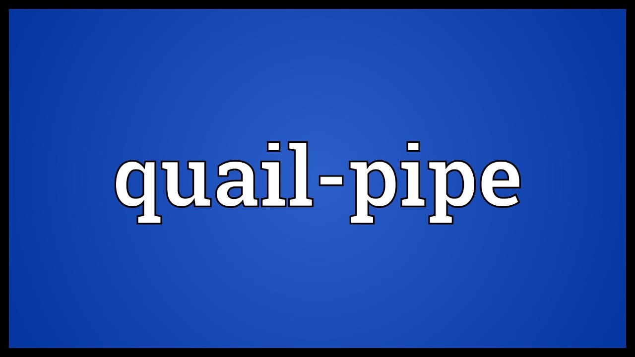 Quailpipe Meaning YouTube