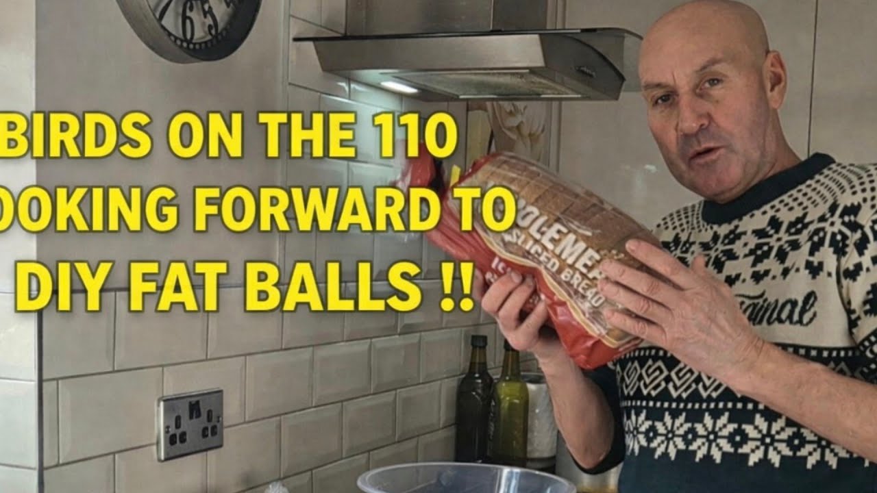 BIRDS ON THE 110,,,LOOKING FOWARD TO MY HOME MADE FAT BALLS !!