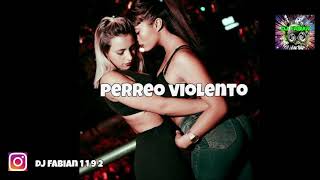 PERREO VIOLENTO DJ Fabian (Remix)