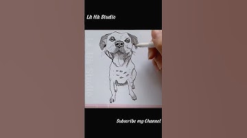 Inking con vật đơn giản bằng bút sắt | How to Draw Animals  Super Easy | Là Hà Studio #Shorts