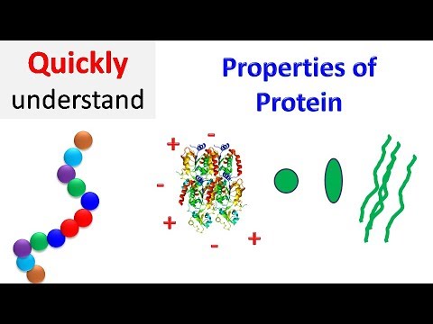 Video: Hur bestämmer proteiner egenskaper?