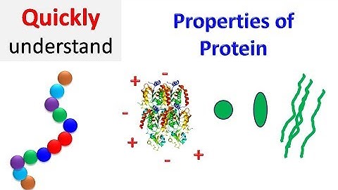 Properties of proteins | Protein Properties